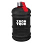    IRONTRUE ITB931 2200