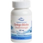  Norway Nature Ginkgo Biloba Double Strength 120  60 